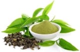 Green Tea Extract ingredient