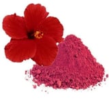 Hibiscus ingredient